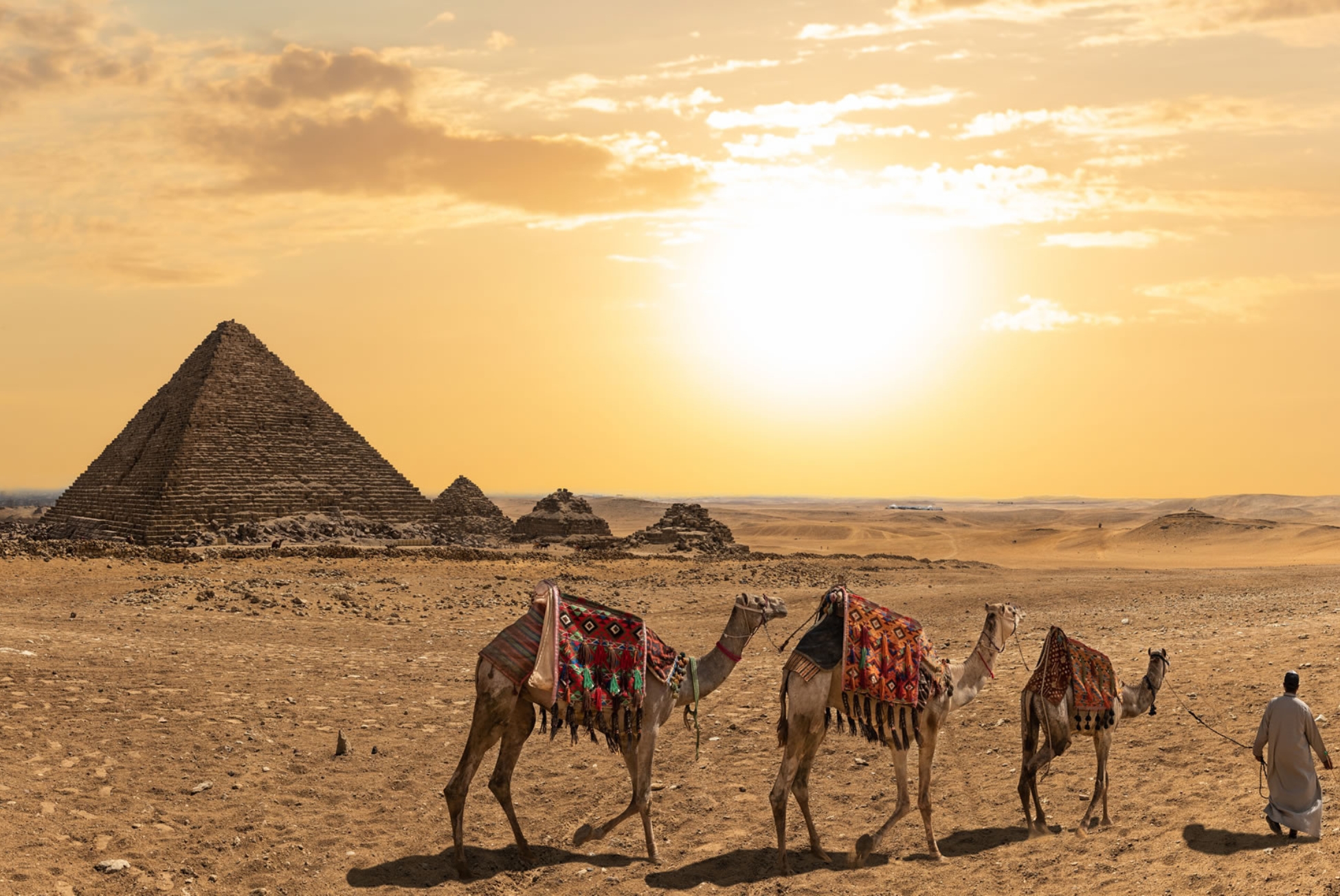 Pyramids and Camels thumbnail